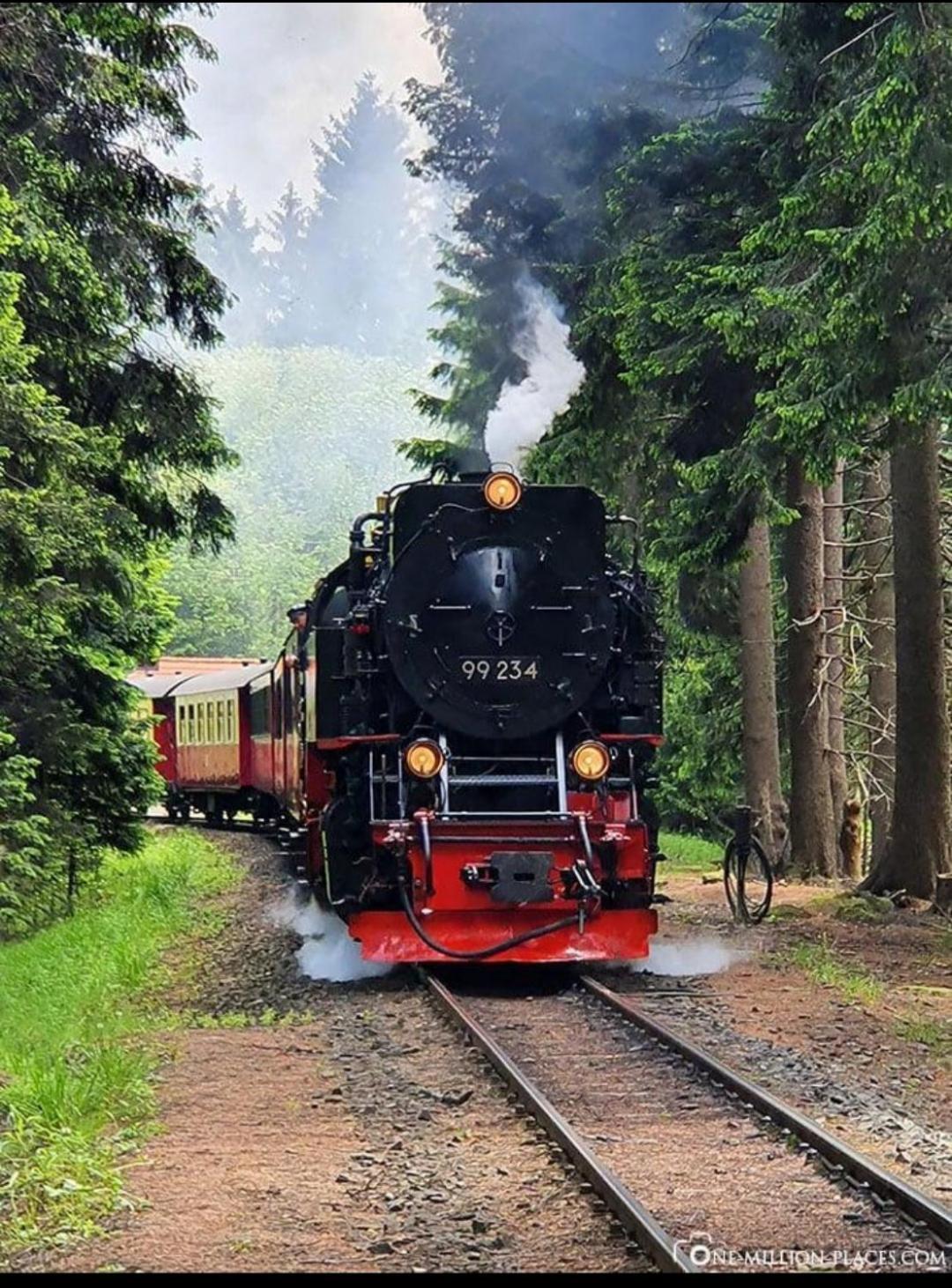 Ferienwohnung Holzmann Wernigerode Extérieur photo